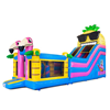 Glijbaan Hawaii met Multiplay of Plonsbad